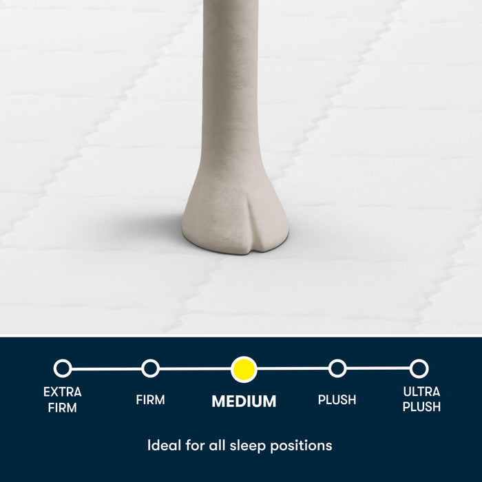 Serta® Perfect Day Mattress Level 1