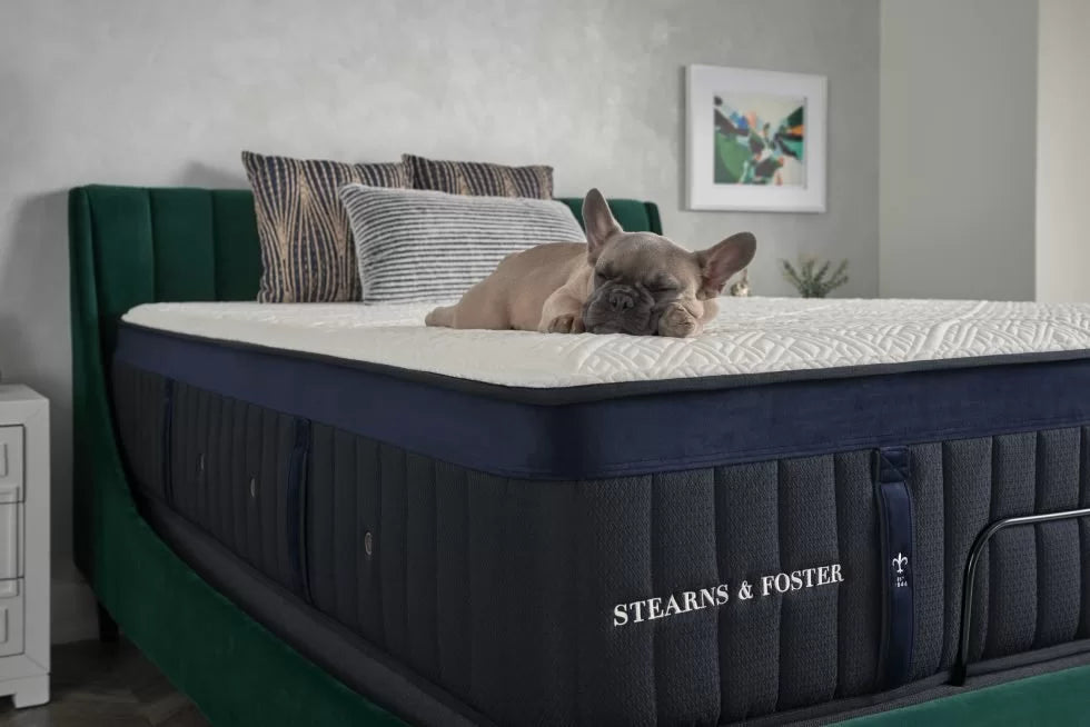 Why Choose a Hybrid Mattress?